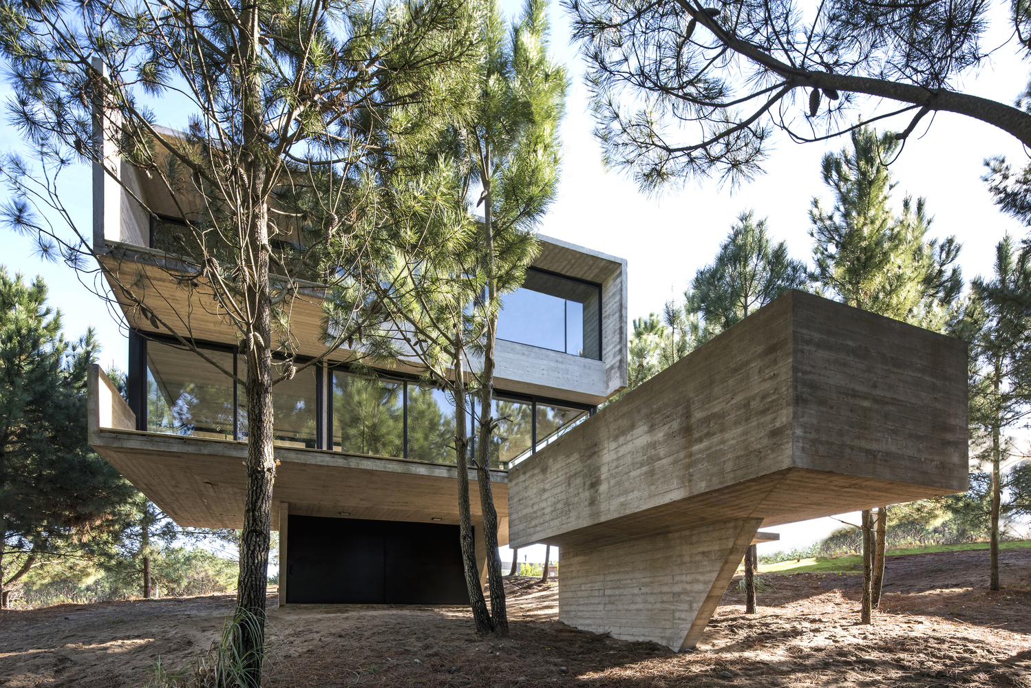 _Fi House in the trees / luciano kruk