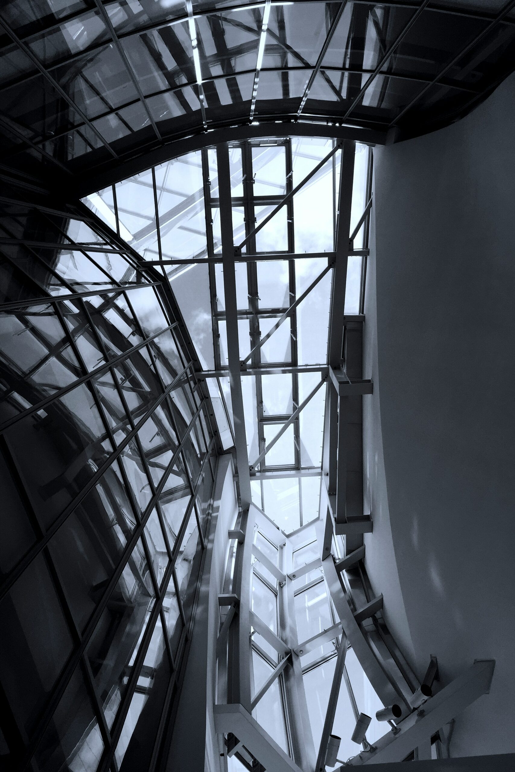 Frank Gehry: Biography, Works, Awards 54 White metal framed glass ceiling - louis vuitton foundation art museum and cultural center - paris, france - © serge le strat