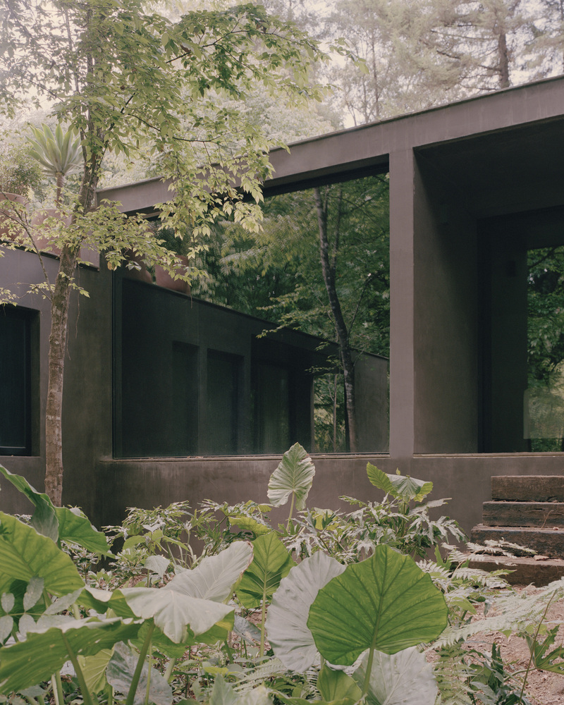 Copas House / Ppaa 1 Copas house / ppaa