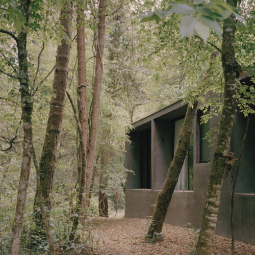 Copas House / Ppaa 14 Copas house / ppaa