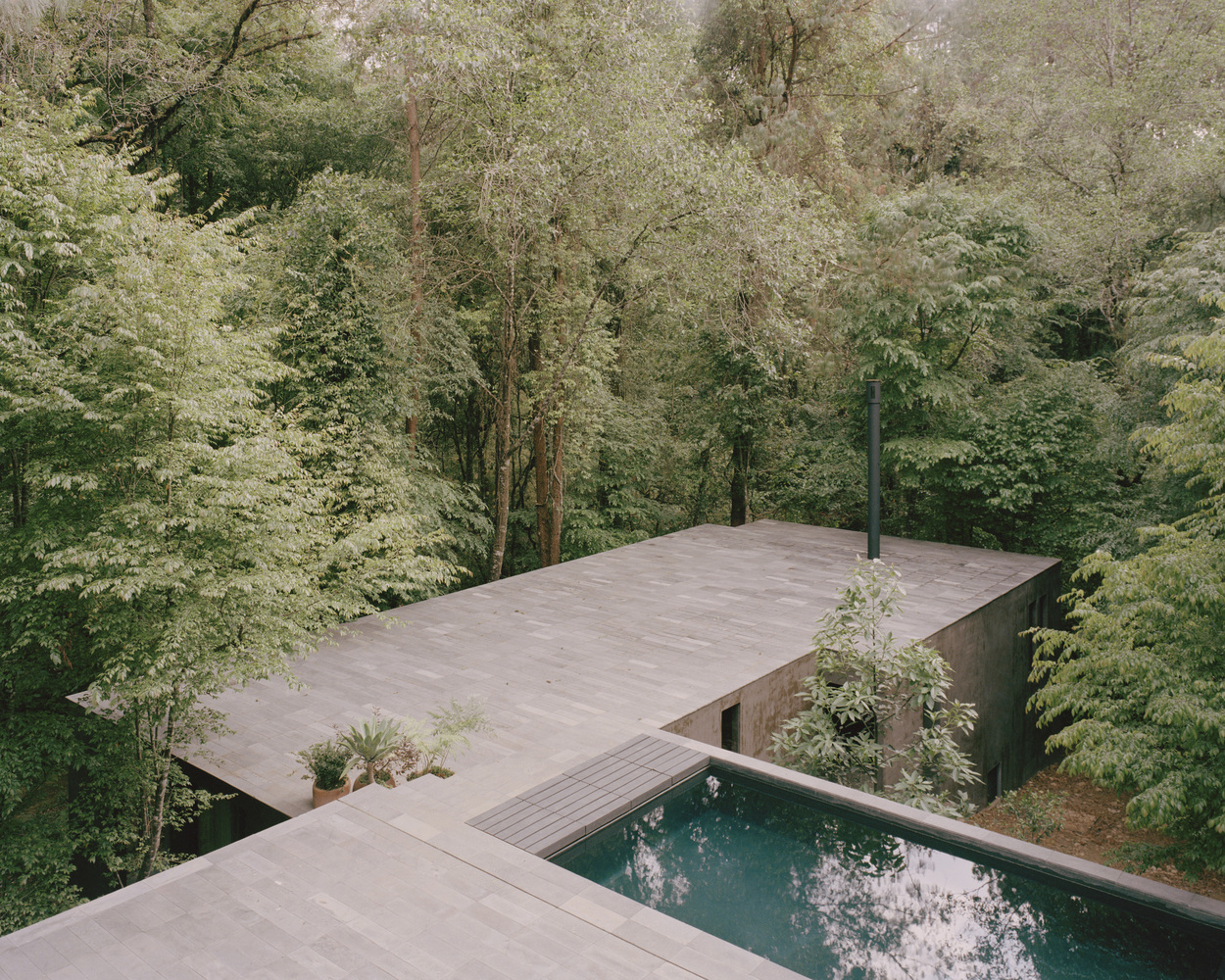 Copas House / Ppaa 4 Copas house / ppaa