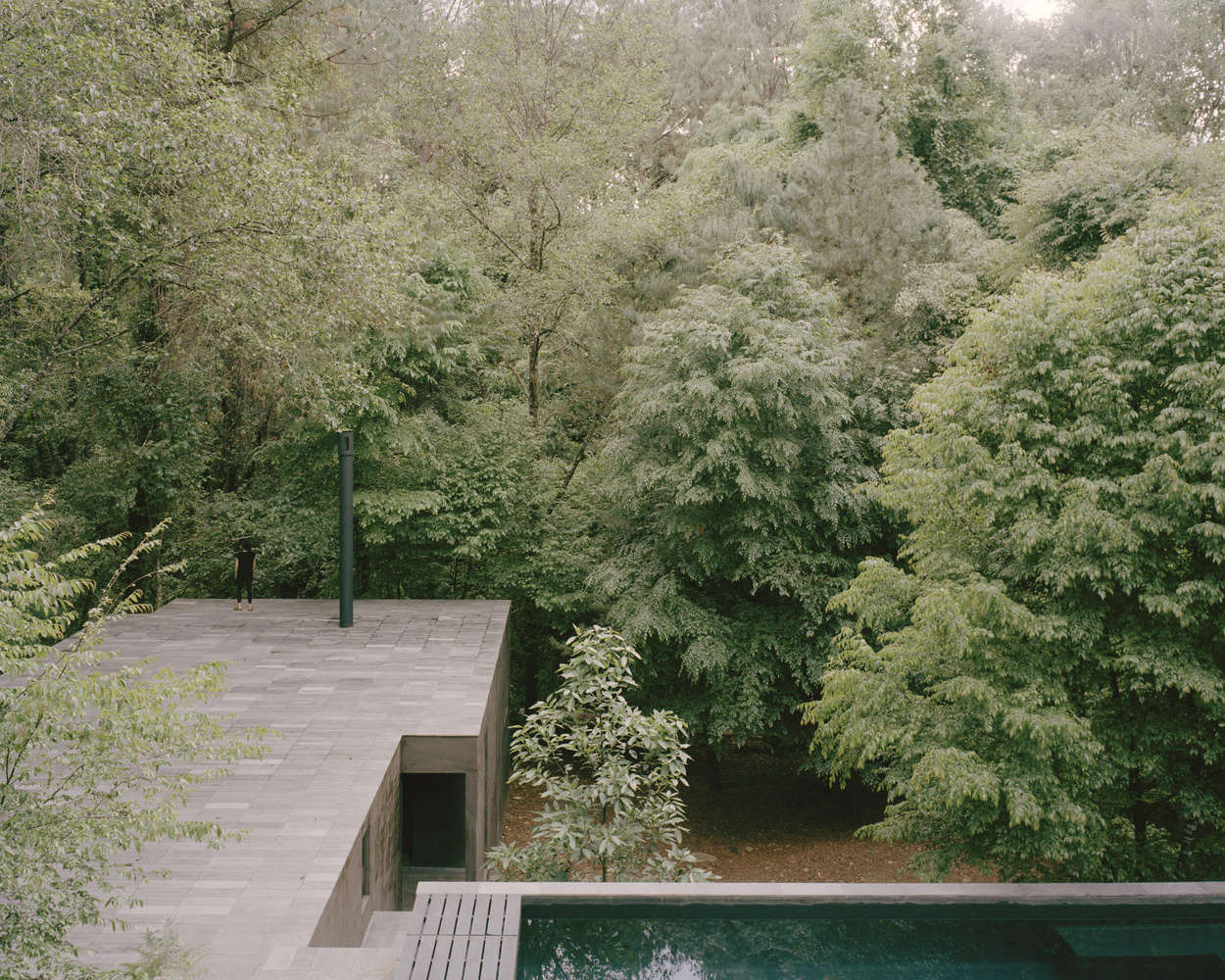 Copas House / Ppaa 6 Copas house / ppaa
