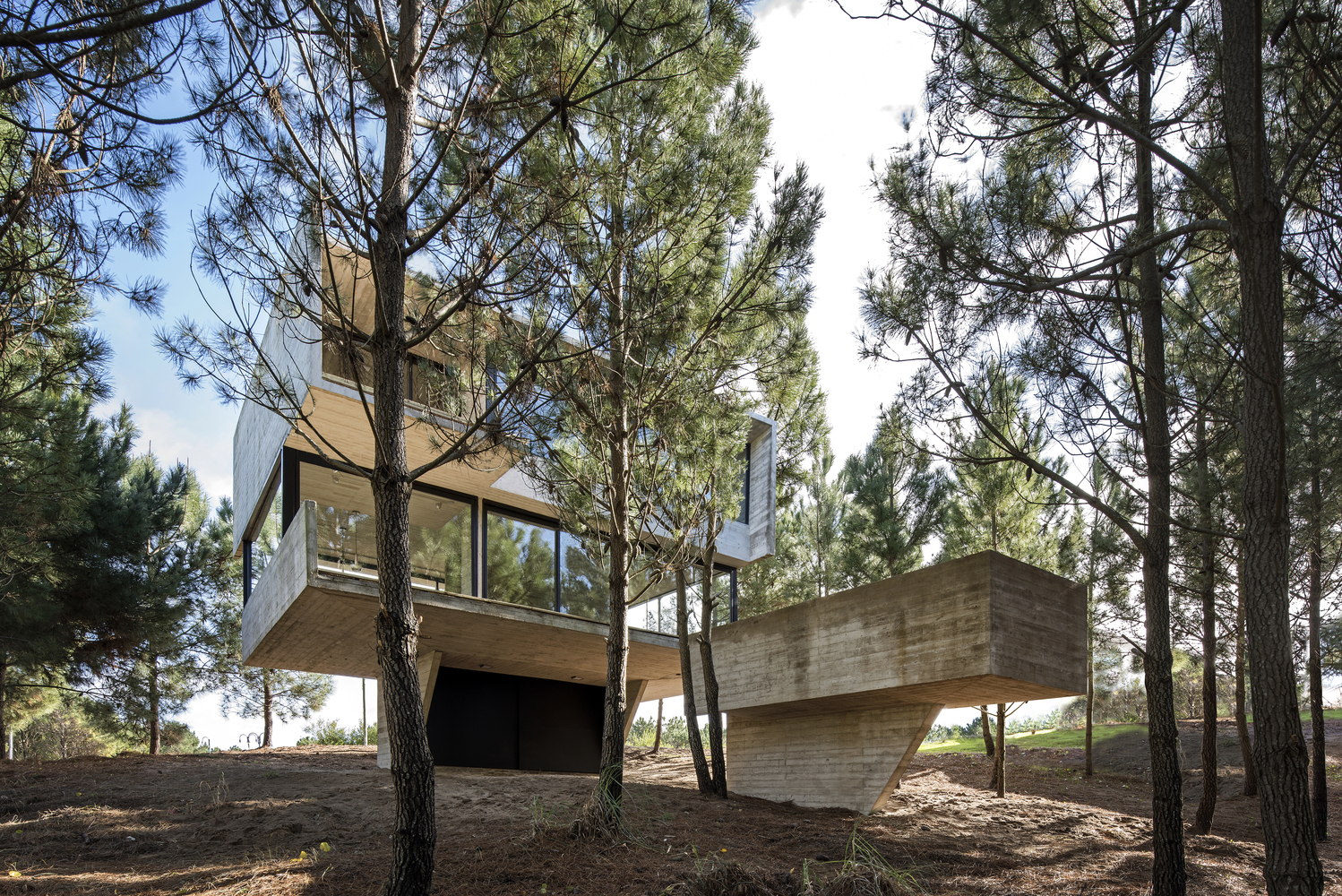 Casa_Arbol003M House in the trees / luciano kruk