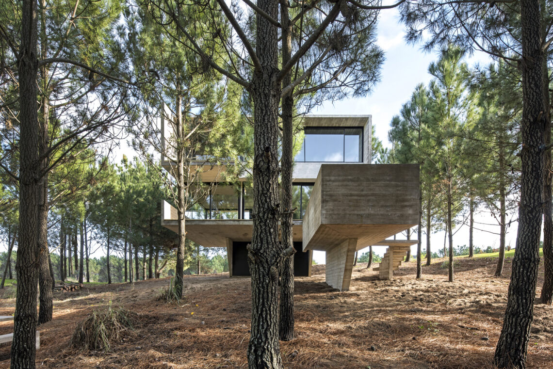 House In The Trees / Luciano Kruk 16 House in the trees / luciano kruk