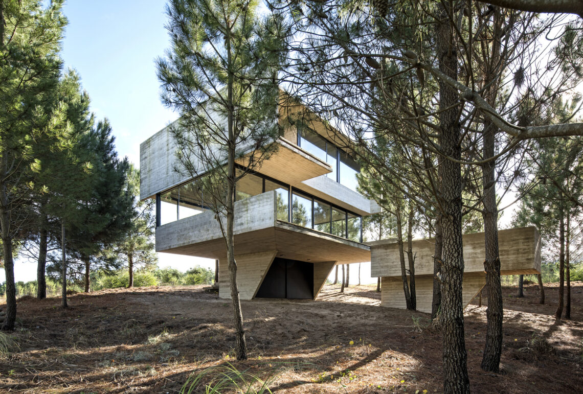 House In The Trees / Luciano Kruk 17 House in the trees / luciano kruk