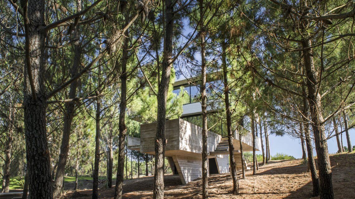 House In The Trees / Luciano Kruk 13 House in the trees / luciano kruk