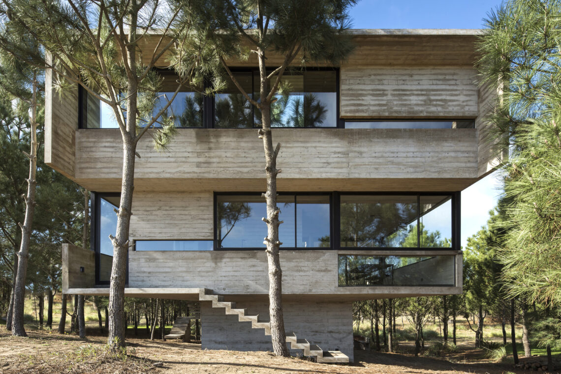 House In The Trees / Luciano Kruk 1 House in the trees / luciano kruk