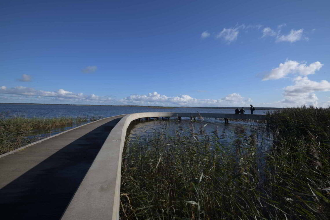 Filsø Visitor’s Center / Schønherr 14 Filsø visitor’s center / schønherr