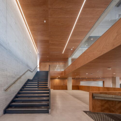 Alicante University Entrepreneurship Centre / Guillermo Vazquez Consuegra 27 Alicante university entrepreneurship centre / guillermo vazquez consuegra