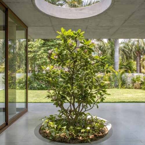 House of concrete walls / traanspace