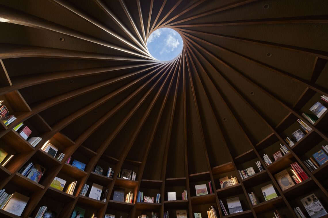 Library in the earth / hiroshi nakamura & nap