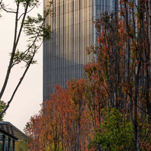 Oppo technology & research centre tower / gianni botsford architects + rjwu & partner