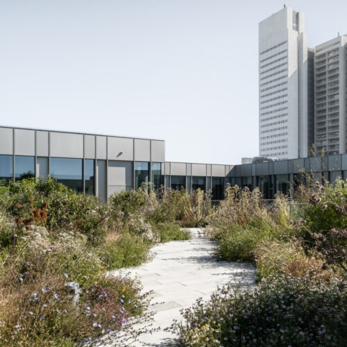 Steno Diabetes Center Copenhagen / Vilhelm Lauritzen Architects + Mikkelsen Architects + Sted 31 Steno diabetes center copenhagen / vilhelm lauritzen architects + mikkelsen architects + sted