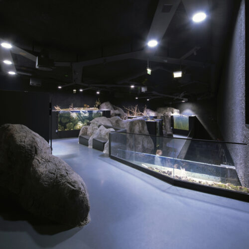 Karlovac Freshwater Aquarium And River Museum / 3Lhd 15 Karlovac freshwater aquarium and river museum / 3lhd