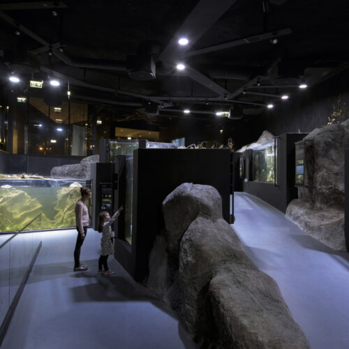 Karlovac Freshwater Aquarium And River Museum / 3Lhd 14 Karlovac freshwater aquarium and river museum / 3lhd