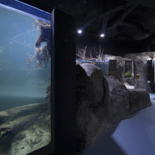 Karlovac Freshwater Aquarium And River Museum / 3Lhd 13 Karlovac freshwater aquarium and river museum / 3lhd