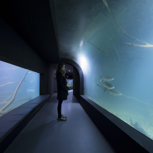 Karlovac Freshwater Aquarium And River Museum / 3Lhd 10 Karlovac freshwater aquarium and river museum / 3lhd
