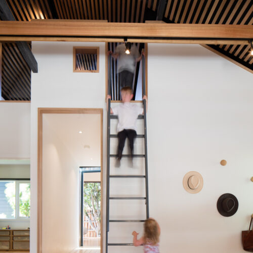 Glass link house / robbie walker