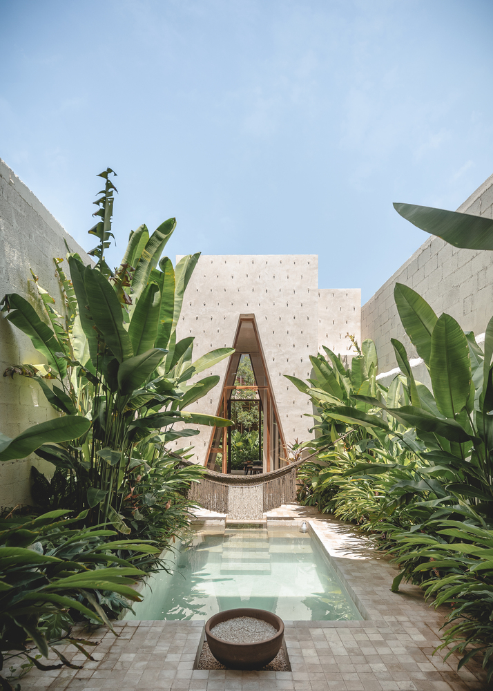 Casa ajau / nutum estudio