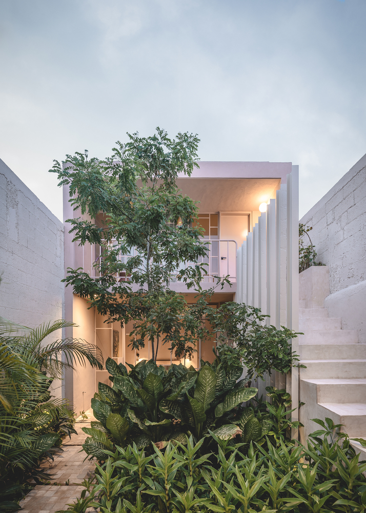 Casa ajau / nutum estudio