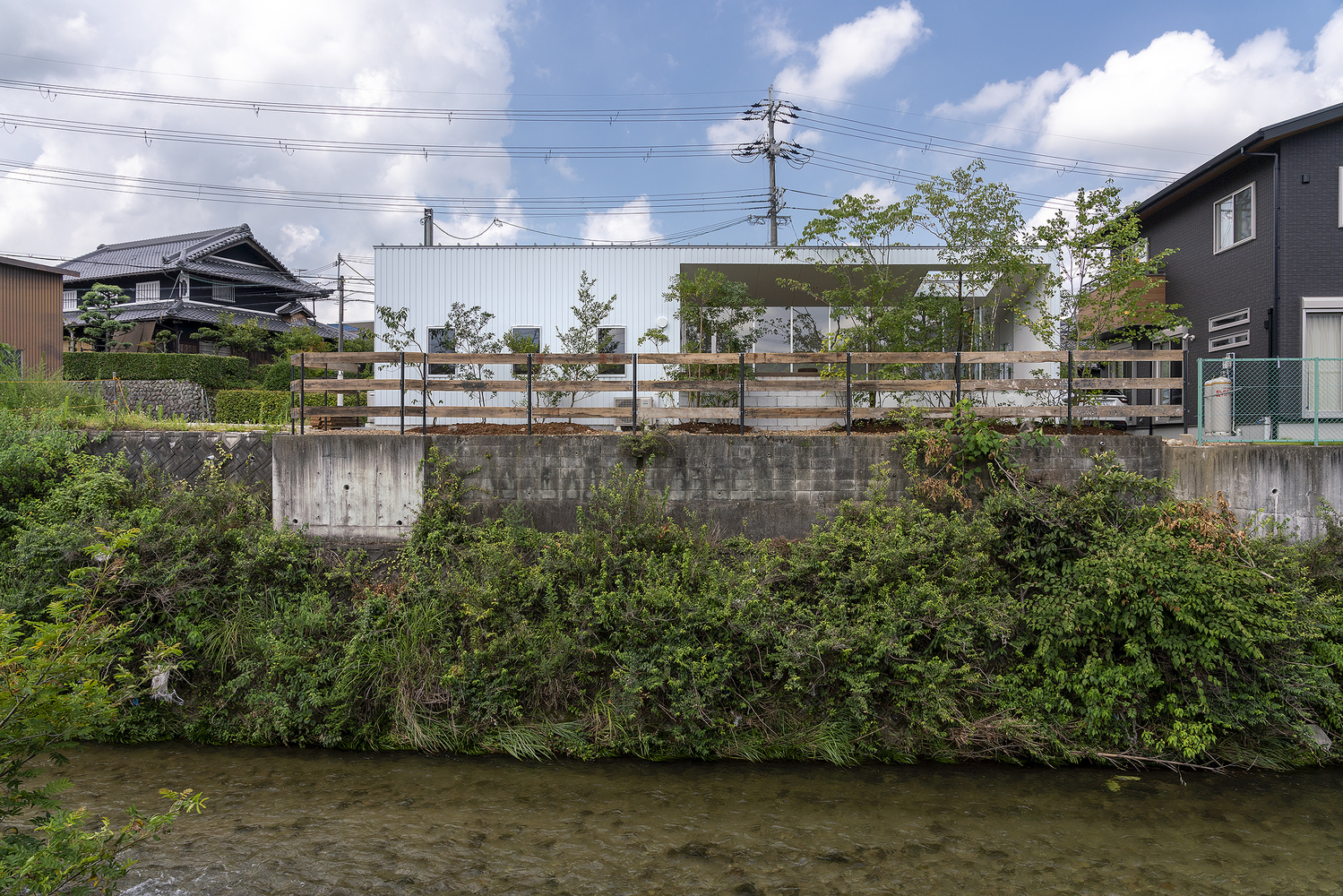 _Dsc2872 House in kawachinagano / arbol