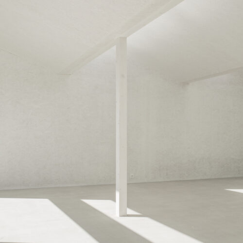 Casa Ccff / Leopold Banchini Architects 14 Casa ccff / leopold banchini architects