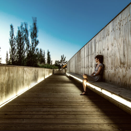 Vlm bridge / and-ré