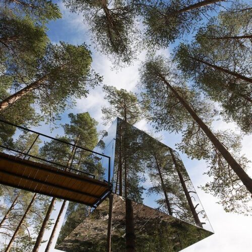 Tree hotel / tham & videgård arkitekter