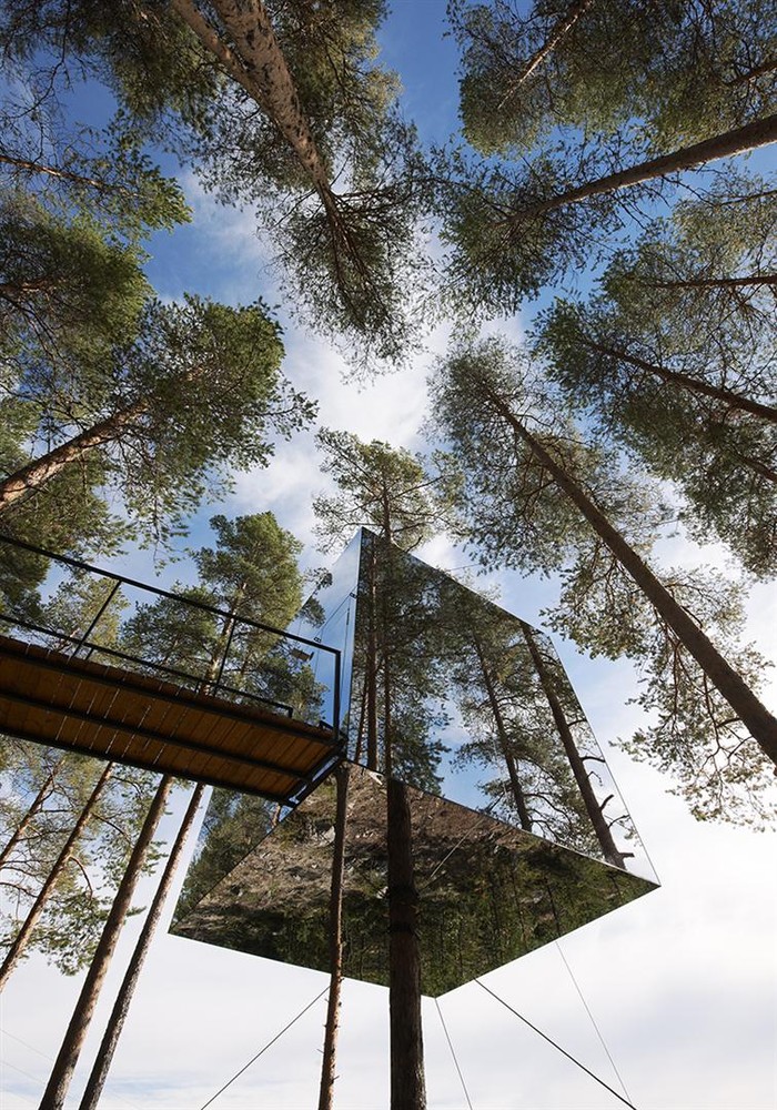 Tree hotel / tham & videgård arkitekter
