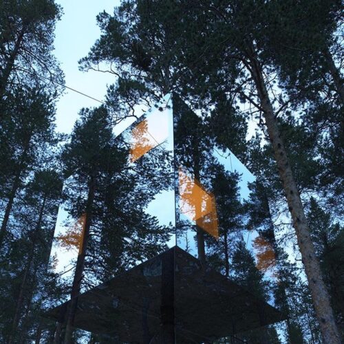 Tree hotel / tham & videgård arkitekter