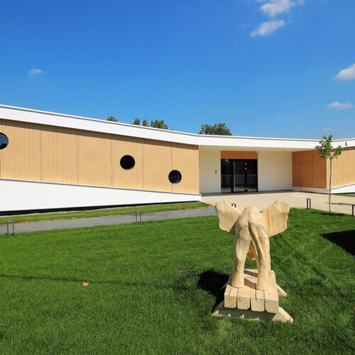 Yellow Elephant Kindergarten / Xystudio 18 Yellow elephant kindergarten / xystudio