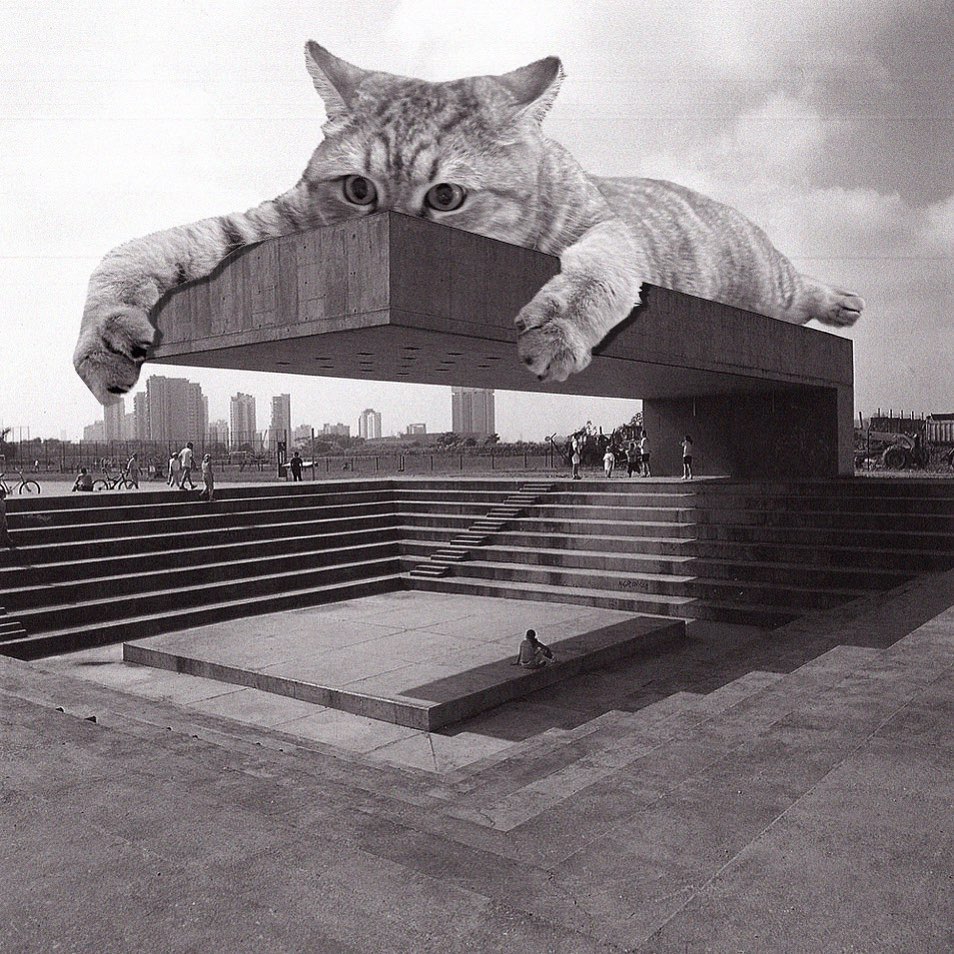 Cats of brutalism: making brutal architecture a little furrier