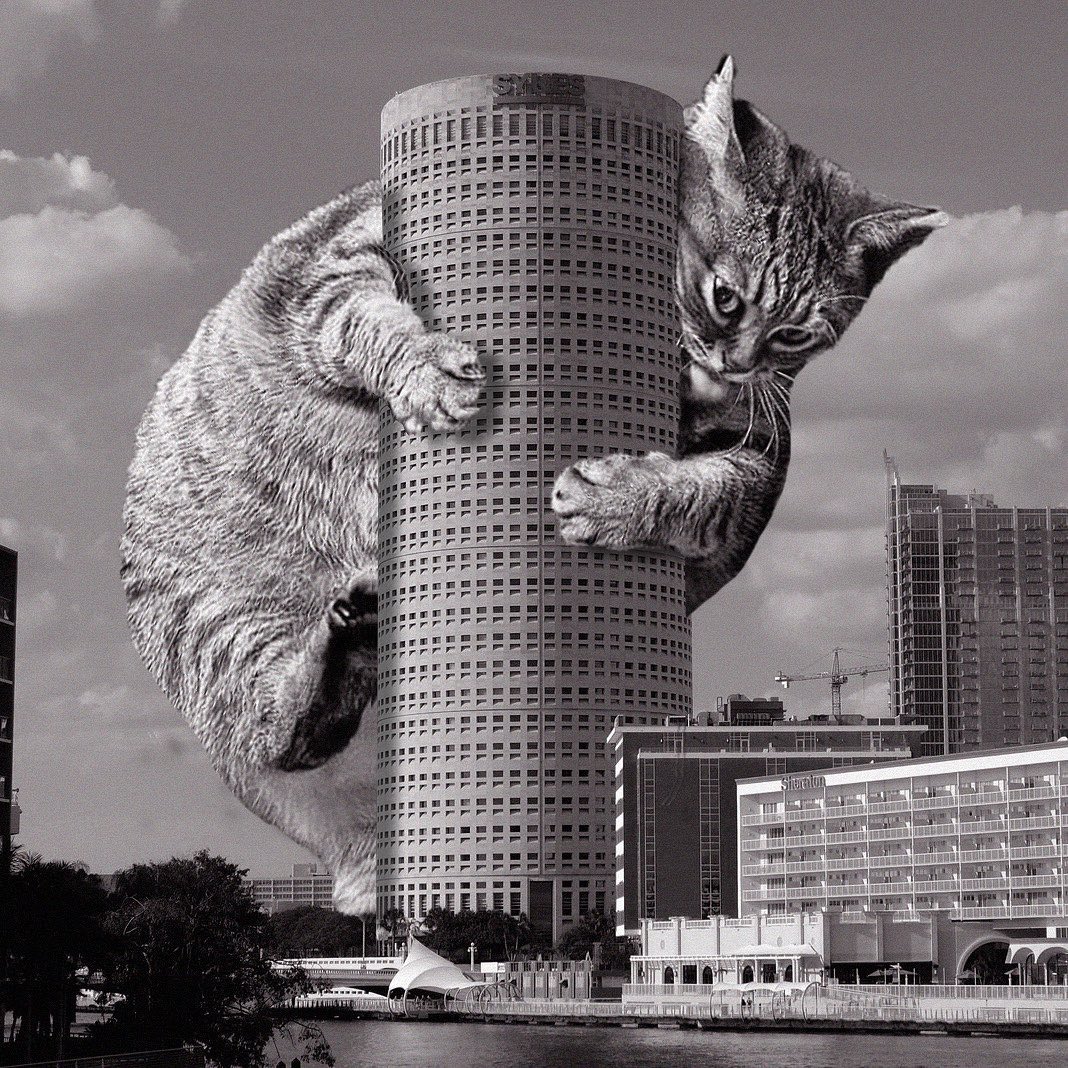 Cats of brutalism: making brutal architecture a little furrier