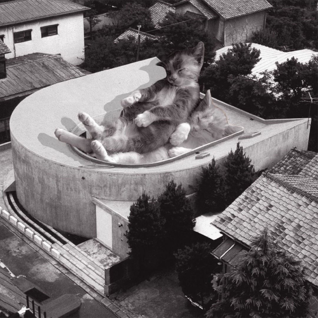 Cats of brutalism: making brutal architecture a little furrier