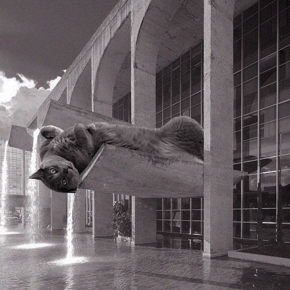Cats of brutalism: making brutal architecture a little furrier