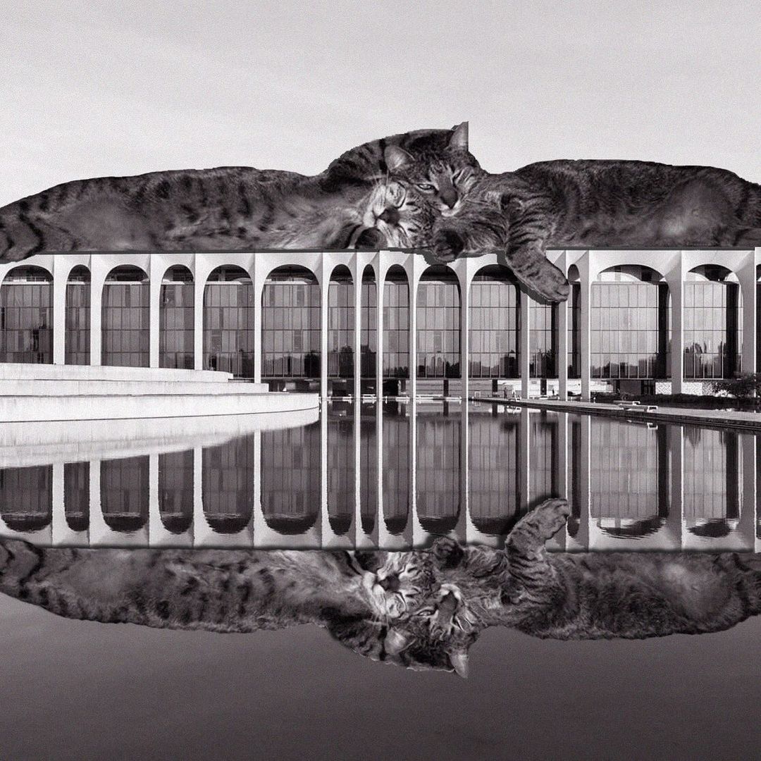 Cats of brutalism: making brutal architecture a little furrier