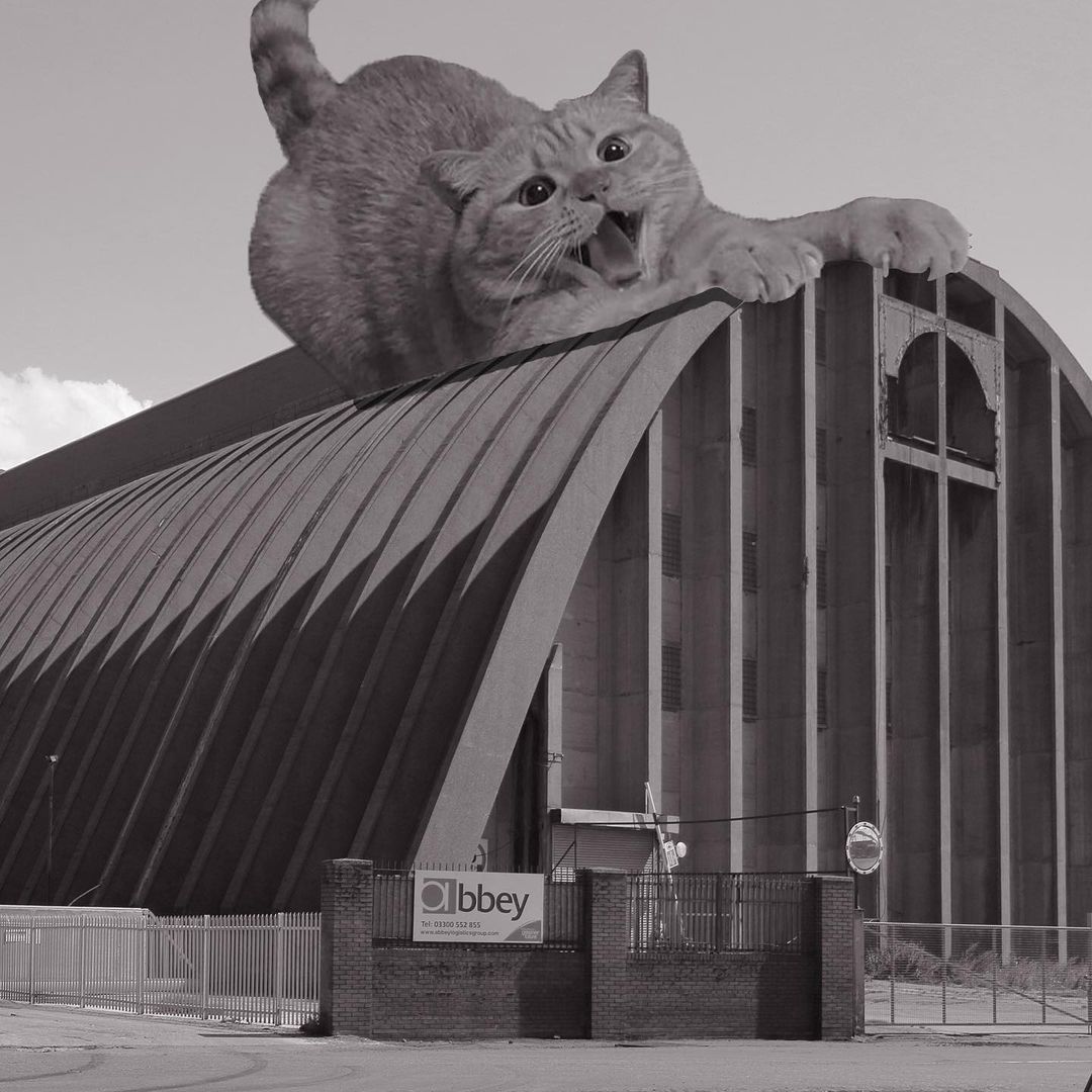 Cats of brutalism: making brutal architecture a little furrier