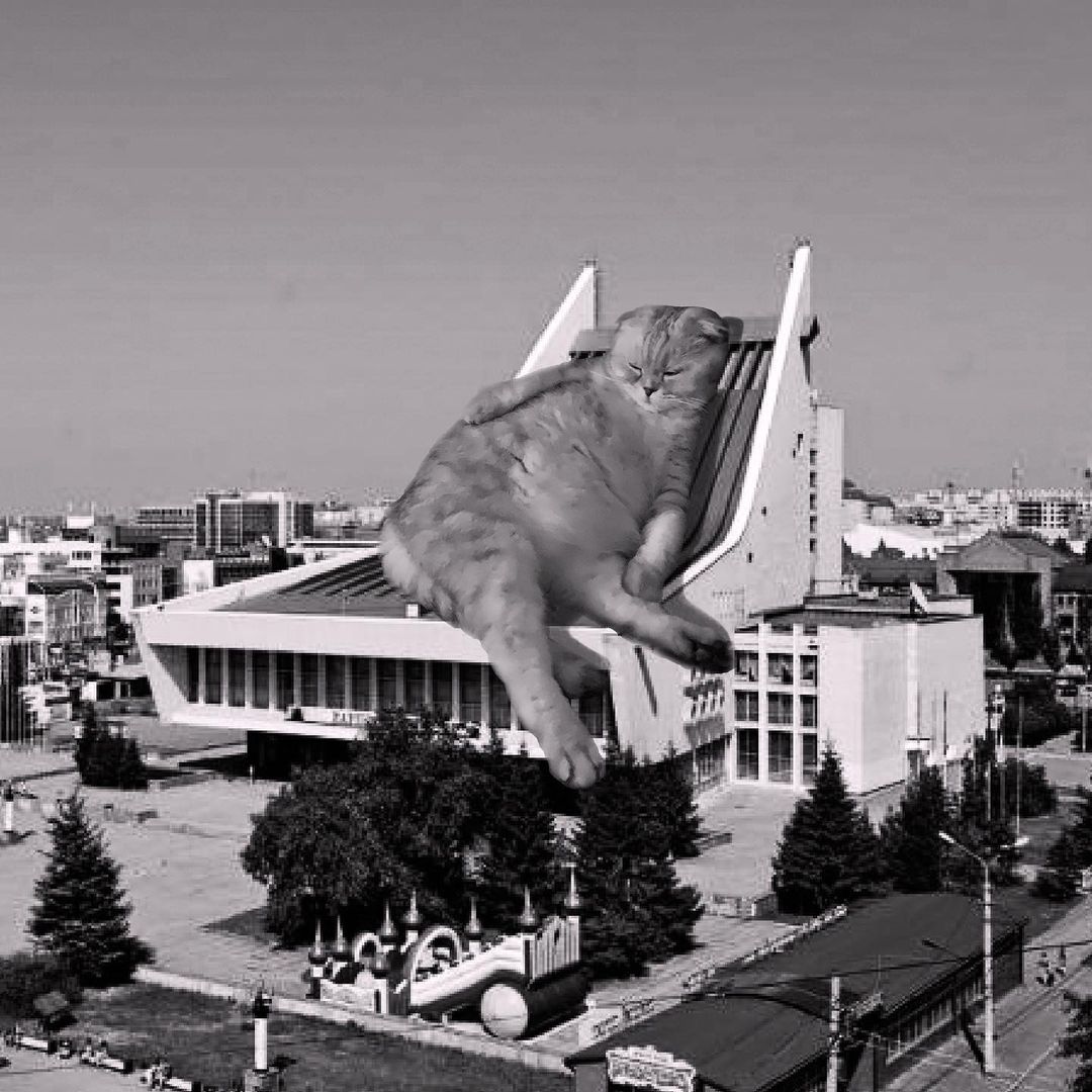 Cats of brutalism: making brutal architecture a little furrier