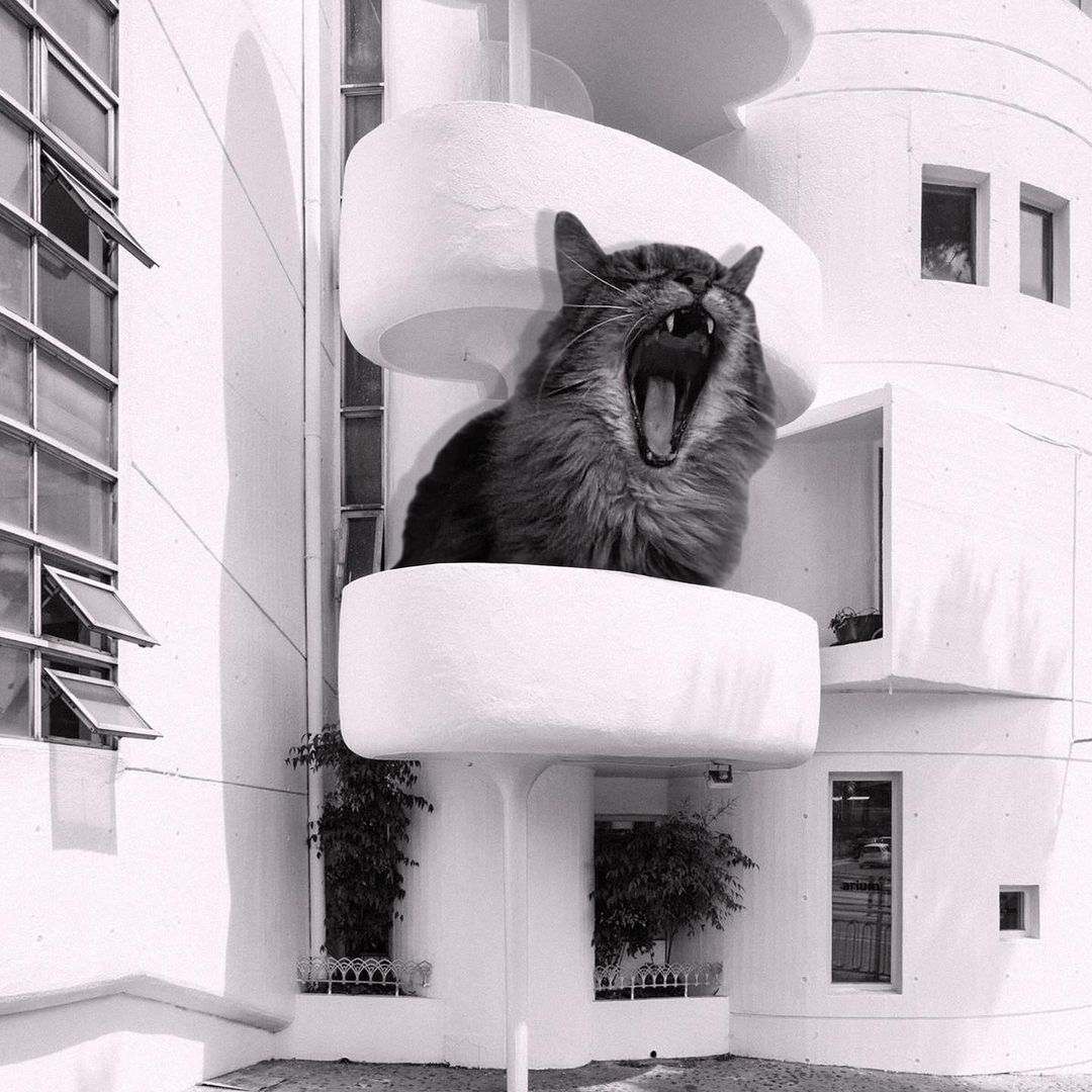 Cats of brutalism: making brutal architecture a little furrier