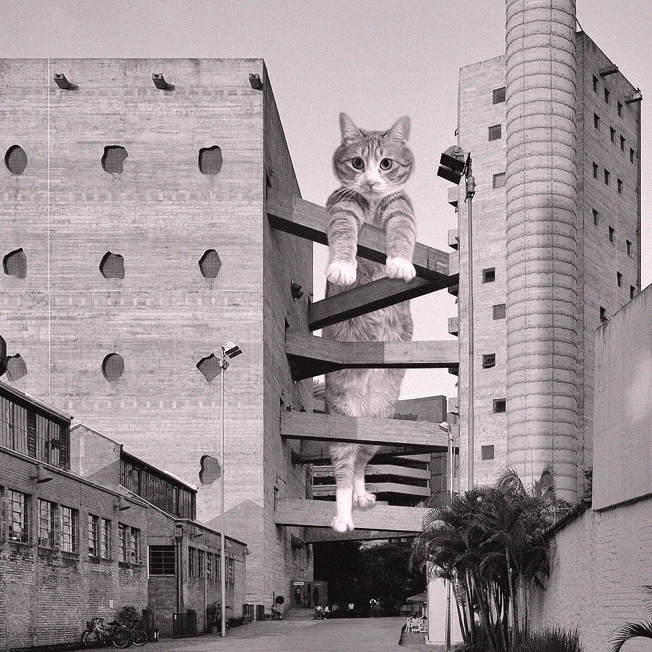 Cats of brutalism: making brutal architecture a little furrier