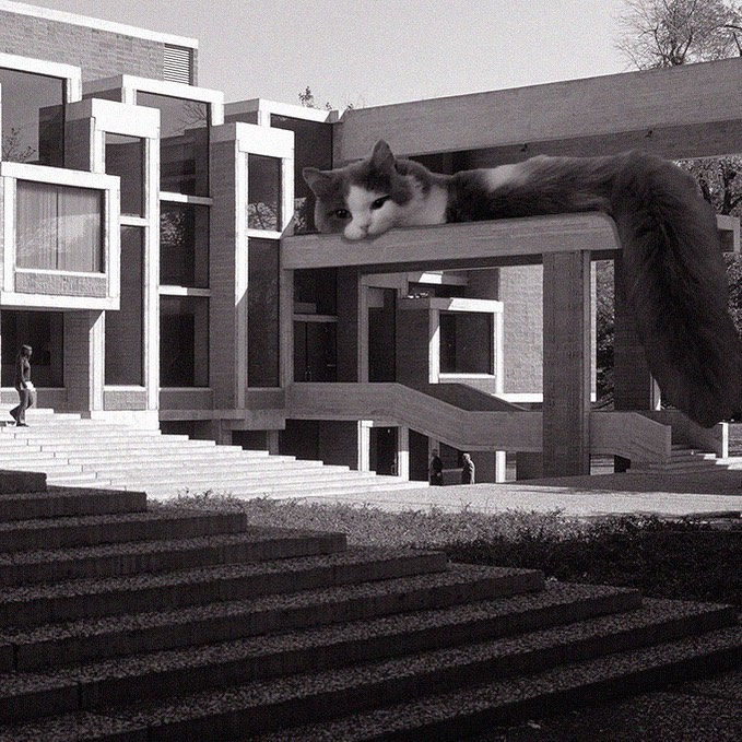 Cats of brutalism: making brutal architecture a little furrier
