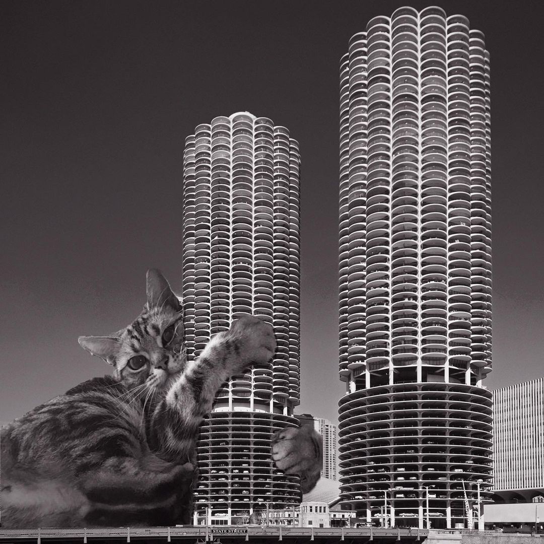 Cats of brutalism: making brutal architecture a little furrier