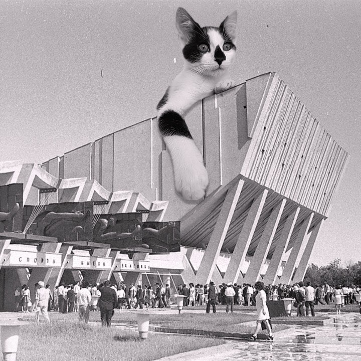 Cats of brutalism: making brutal architecture a little furrier