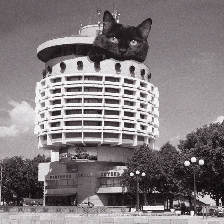 Cats of brutalism: making brutal architecture a little furrier