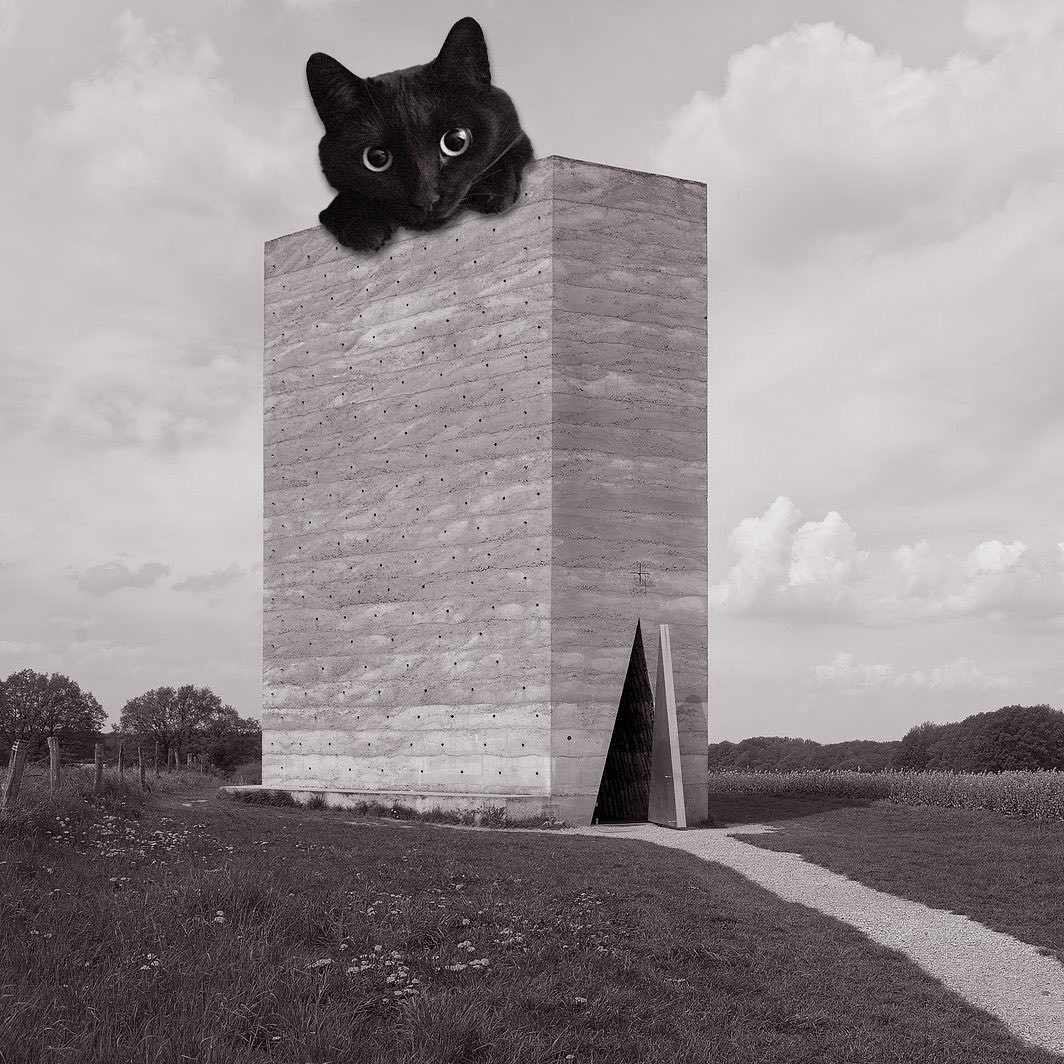 Cats of brutalism: making brutal architecture a little furrier