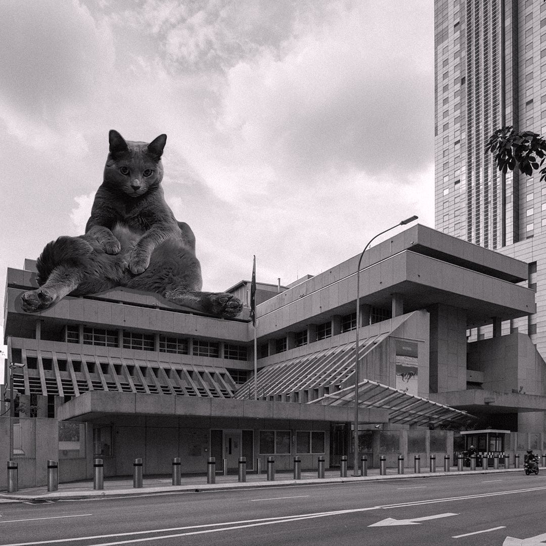 Cats of brutalism: making brutal architecture a little furrier