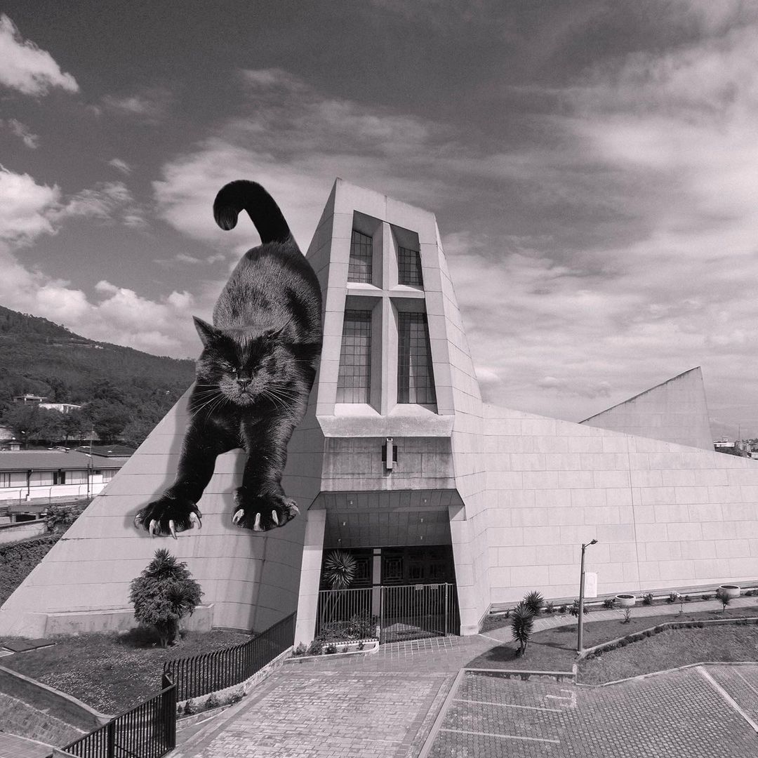 Cats of brutalism: making brutal architecture a little furrier