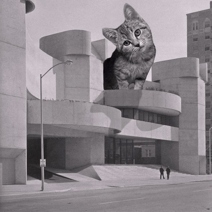 Cats of brutalism: making brutal architecture a little furrier