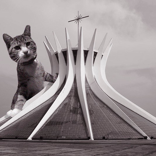 Cats of brutalism: making brutal architecture a little furrier
