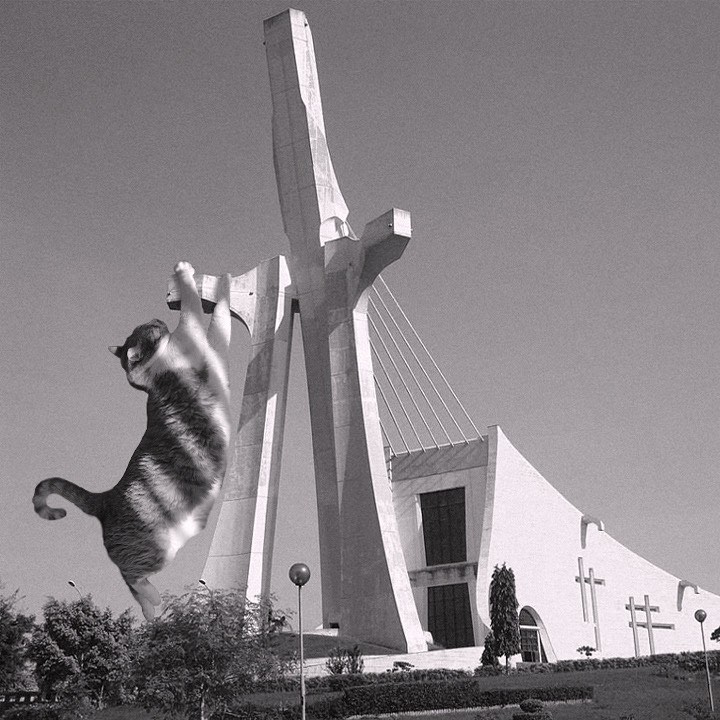 Cats of brutalism: making brutal architecture a little furrier